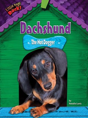 cover image of Dachshund